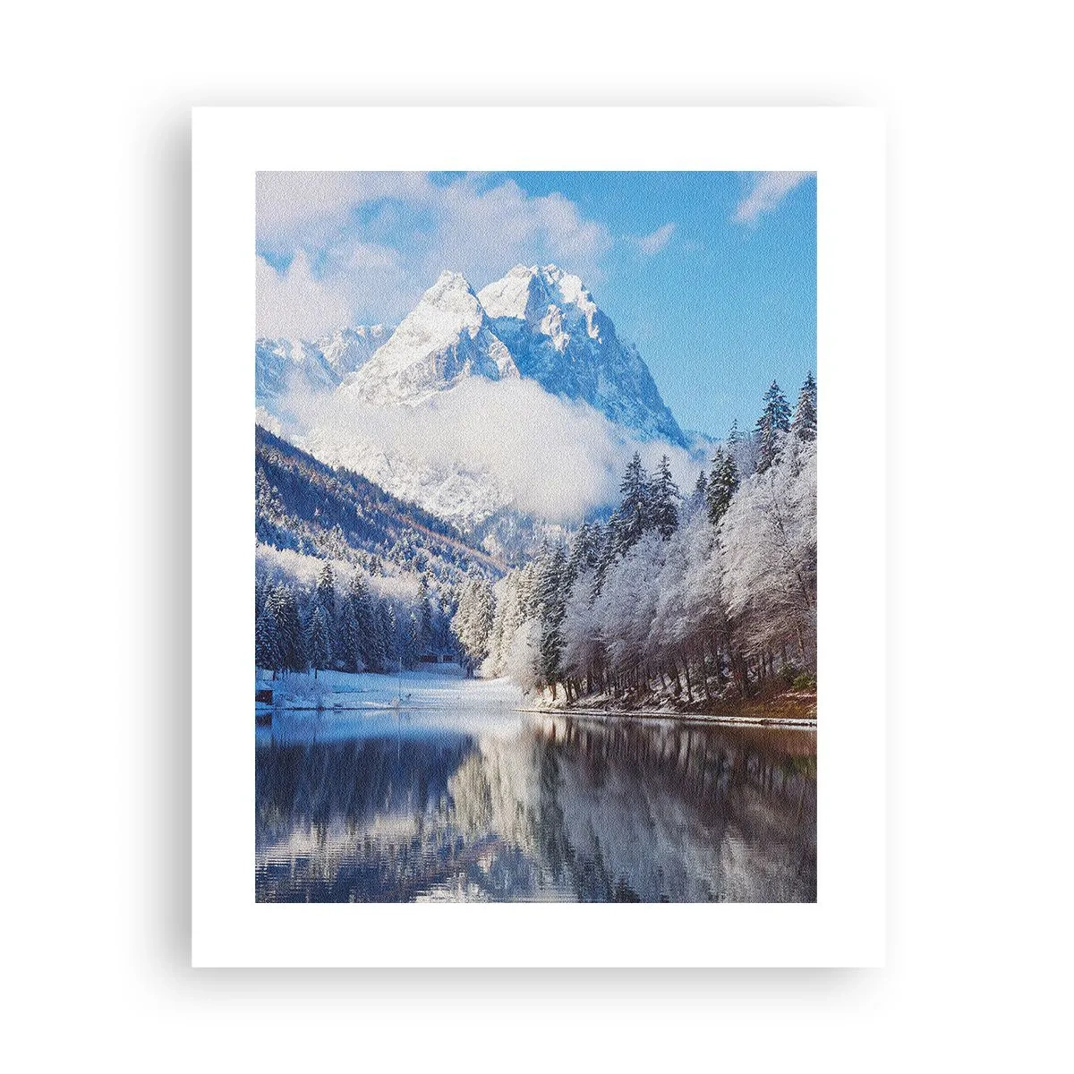 Poster - Schneefang - 40x50 cm