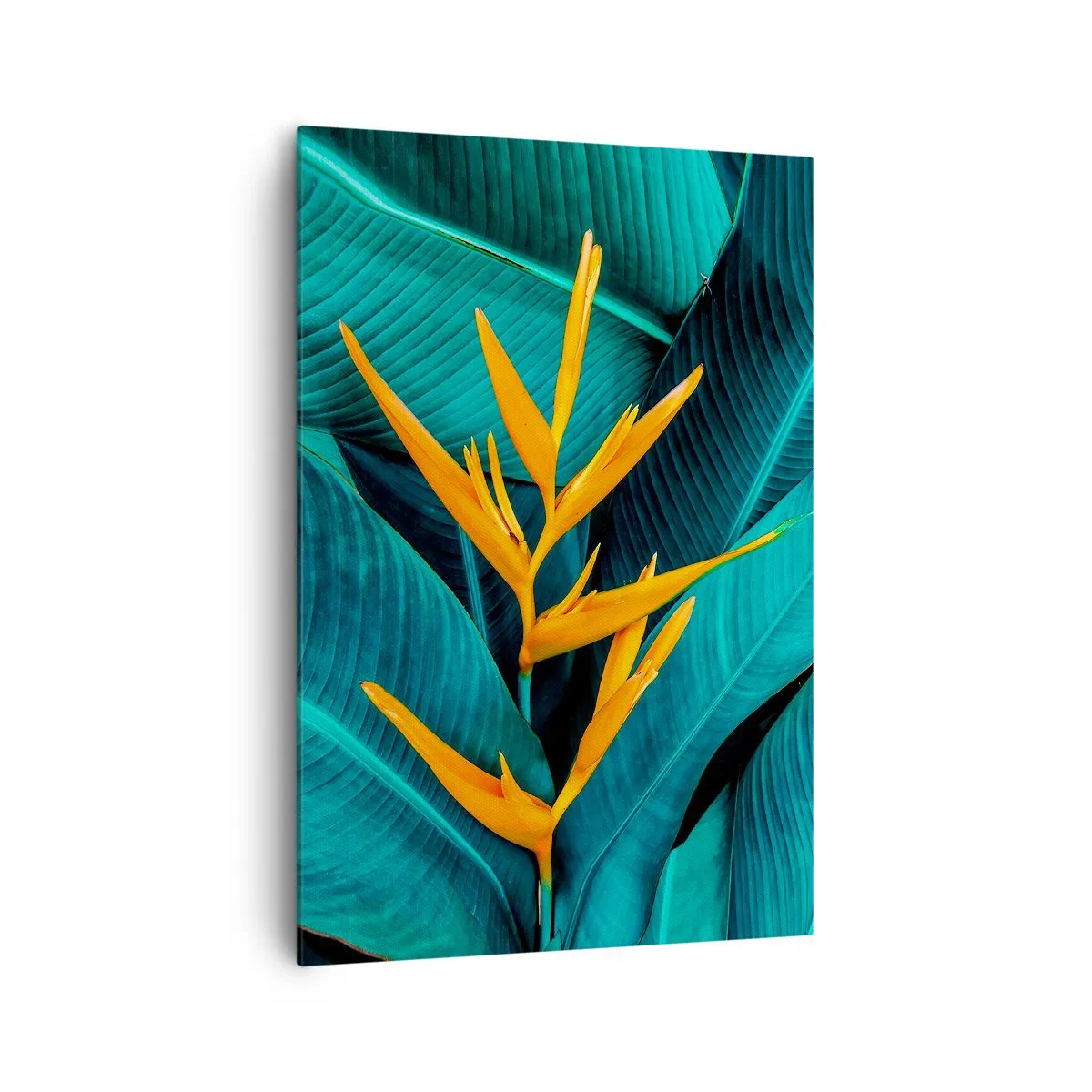 Bild auf Leinwand - Leinwandbild - Eine exotische Blume vor einem Hintergrund aus Bananenblättern in Türkistönen. - 70x100cm - Eden-Blume - Moderne Wanddekoration für Wohnzimmer und Schlafzimmer ARTTOR