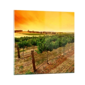 Glasbild - Bild auf glas - Holen Sie sich einen Drink von der Sonne - 30x30 cm