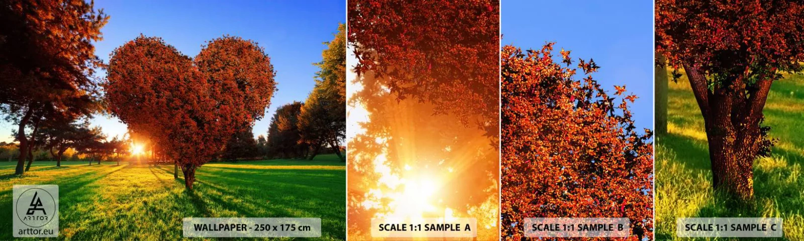 Fototapetenmuster Standard Eco - Und wie man den Herbst nicht liebt - Landschaft, Baum, Sonnenstrahlen - 100x30 cm
