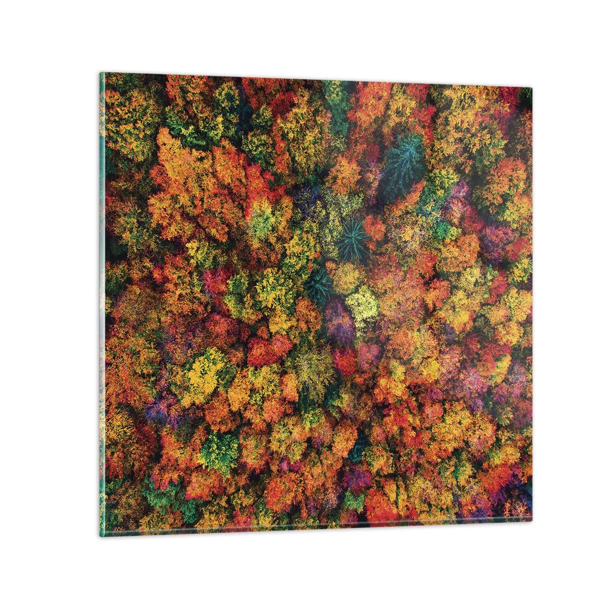 Glasbild - Bild auf glas - Blumenstrauß aus Herbstbäumen - 70x70 cm
