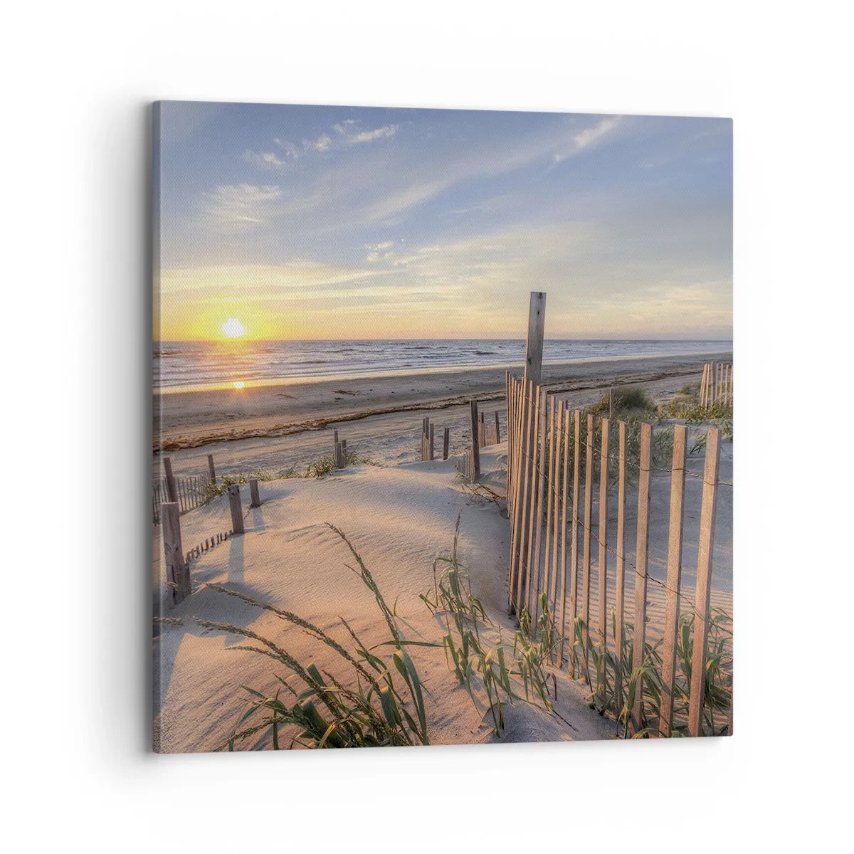 Bild auf Leinwand - Leinwandbild - Schein und Schatten des Windes - 70x70 cm