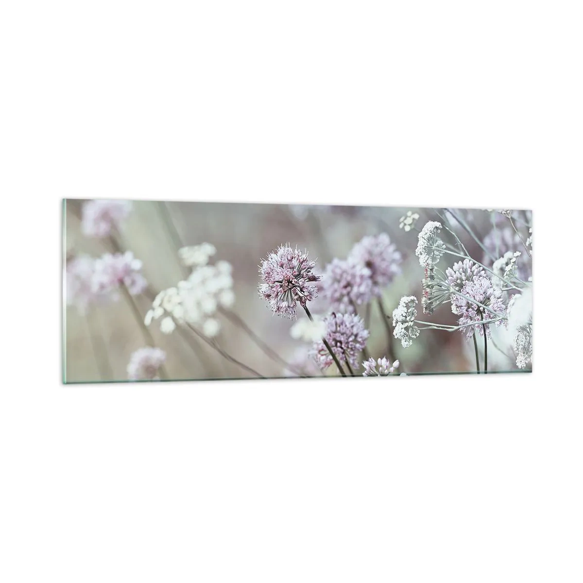 Glasbild - Bild auf glas - Süße filigrane Kräuter - 90x30 cm