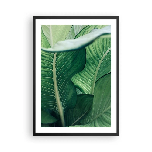 Poster in einem schwarzem Rahmen - Nahaufnahme der grünen Blätter einer Pflanze - 50x70cm - Intensiv grünes Leben - Moderne Wanddekoration für Wohnzimmer und Schlafzimmer ARTTOR