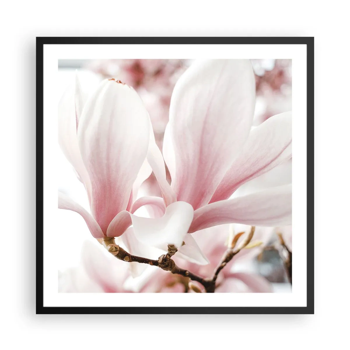 Poster in einem schwarzem Rahmen - Eine Fülle von Zärtlichkeit - 60x60 cm