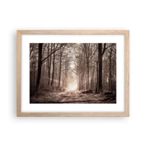Poster in einem Rahmen aus heller Eiche - Waldkathedrale - 40x30 cm