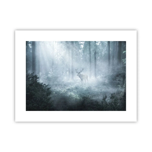 Poster - Morgenvisite auf dem Grundstück - 40x30 cm