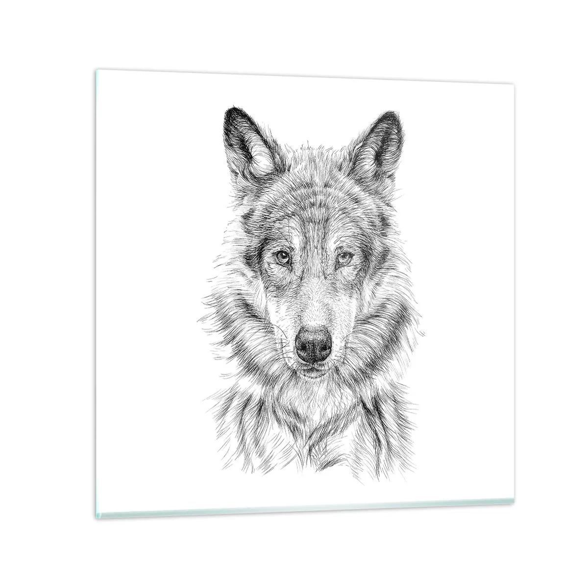 Glasbild - Bild auf glas - Ein geborener Anführer - 40x40 cm