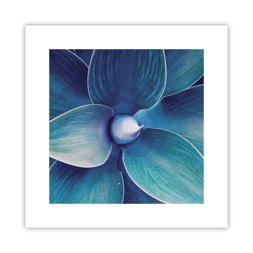 Poster - Bläulich vom Himmel - 30x30 cm