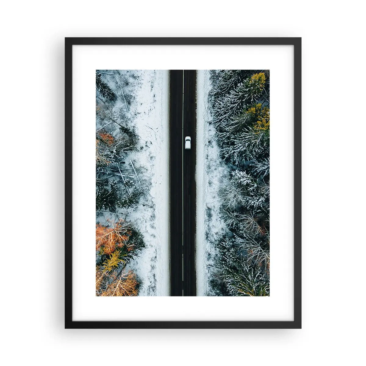 Poster in einem schwarzem Rahmen - Schnitt durch den Winterwald - 40x50 cm