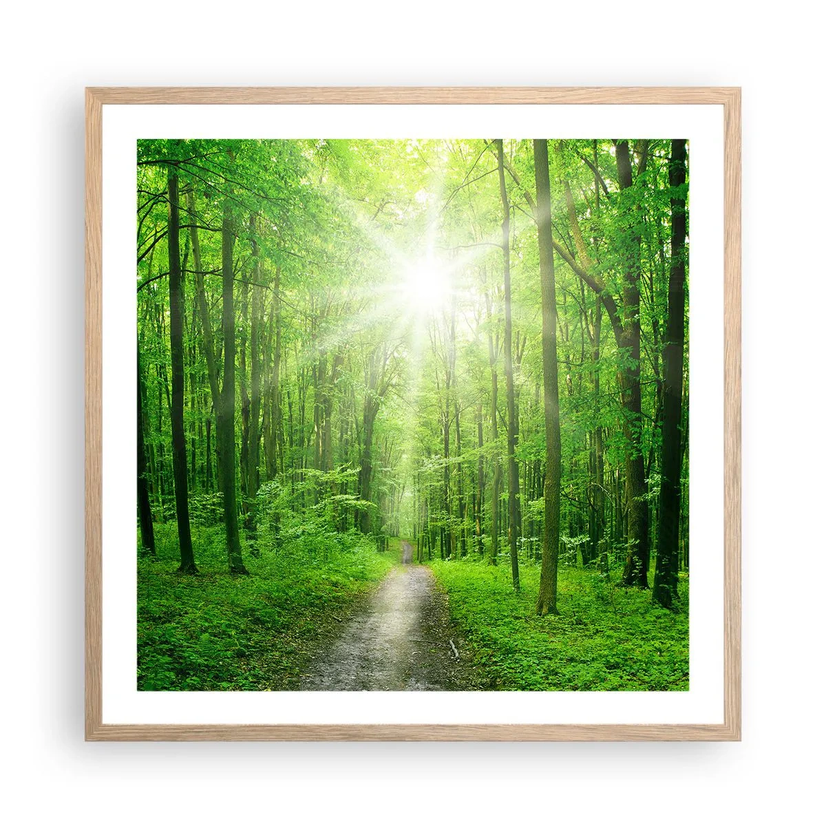 Poster in einem Rahmen aus heller Eiche - Die grüne Kathedrale - 60x60 cm