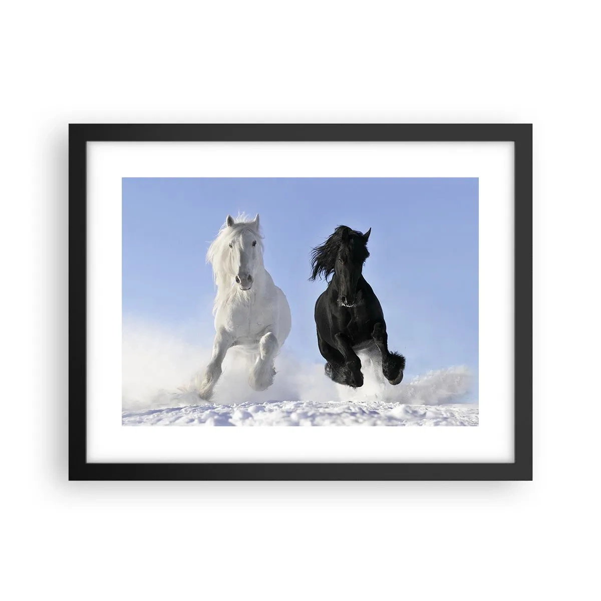 Poster in einem schwarzem Rahmen - Schwarz-Weiß-Galopp - 40x30 cm
