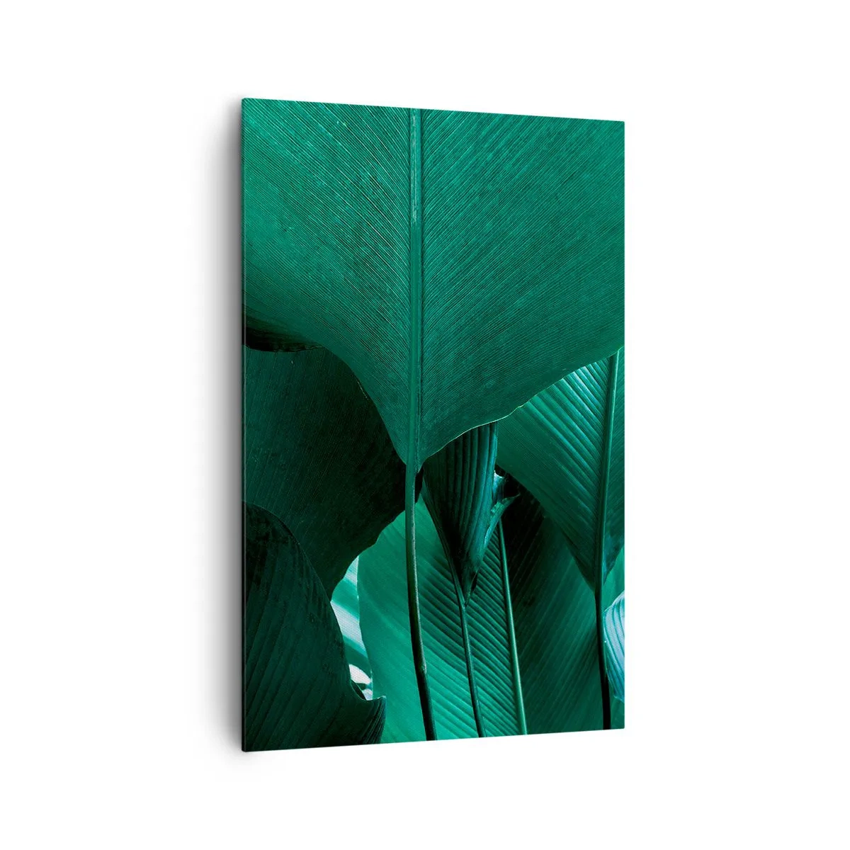 Bild auf Leinwand - Leinwandbild - Grüne Blätter in minimalistischer Komposition - 80x120cm - Dem Licht zugewandt - Moderne Wanddekoration für Wohnzimmer und Schlafzimmer ARTTOR