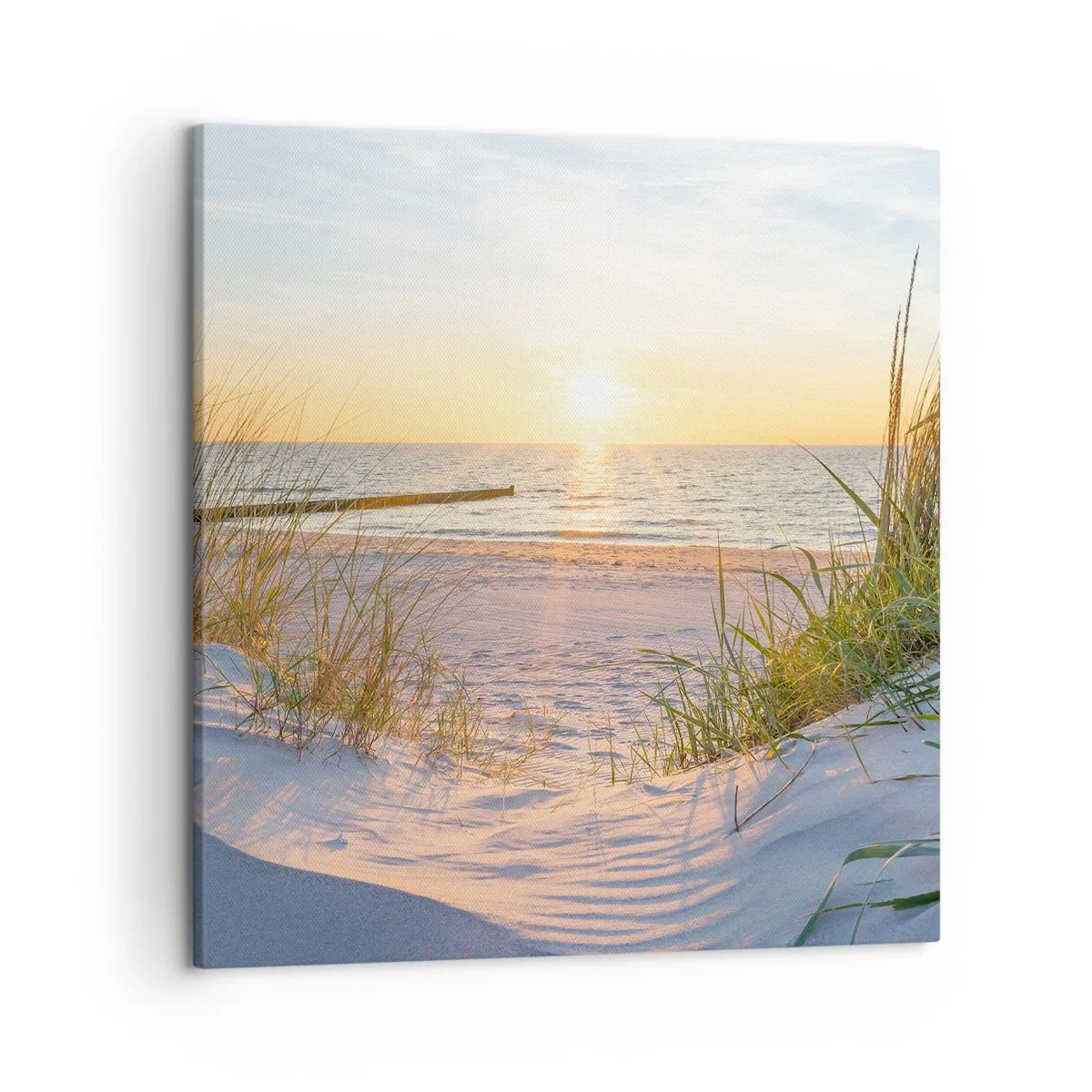 Bild auf Leinwand - Leinwandbild - Das Rauschen des Meeres, der Gesang der Vögel, ein wilder Strand im Gras ... - 50x50 cm