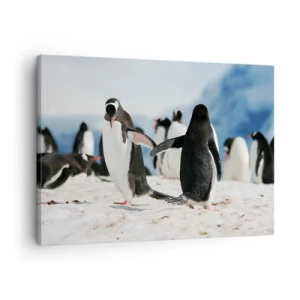 Bild auf Leinwand - Leinwandbild - Eine Gruppe Pinguine im Schnee in einer antarktischen Landschaft - 70x50cm - Tanzen im Schnee - Moderne Wanddekoration für Wohnzimmer und Schlafzimmer ARTTOR