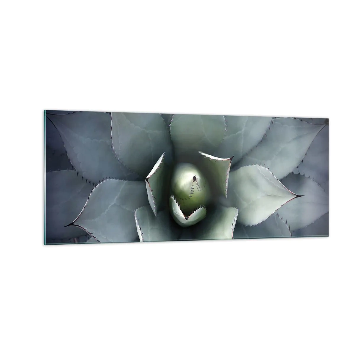 Glasbild - Bild auf glas - Es lockt an und warnt - 100x40 cm