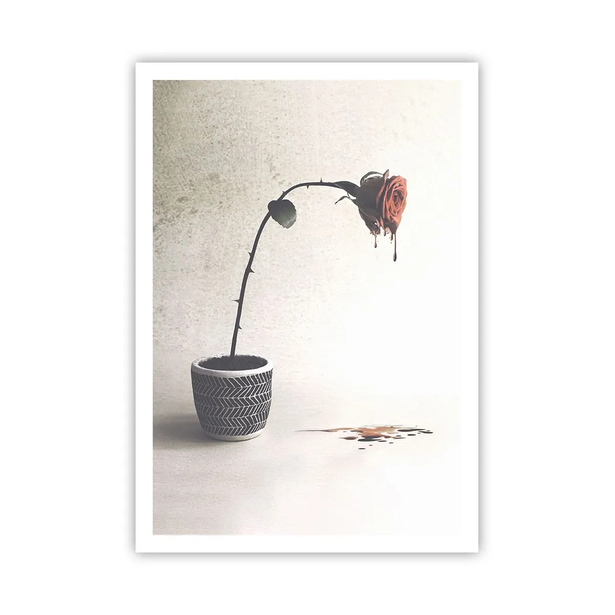 Poster - Rosa dolorosa - 70x100 cm