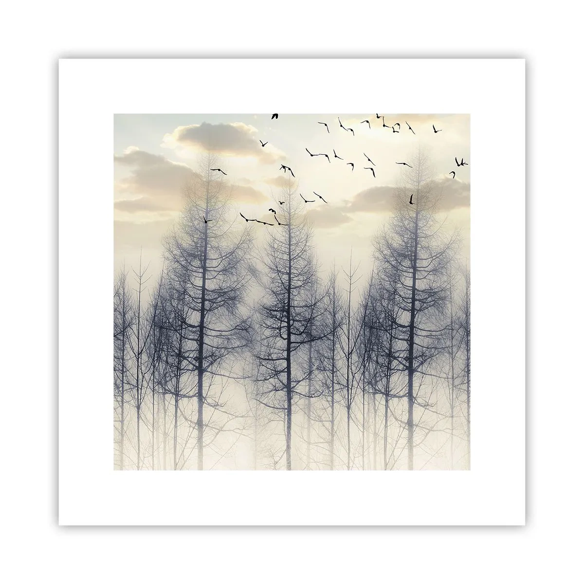 Poster - Waldgeister - 30x30 cm