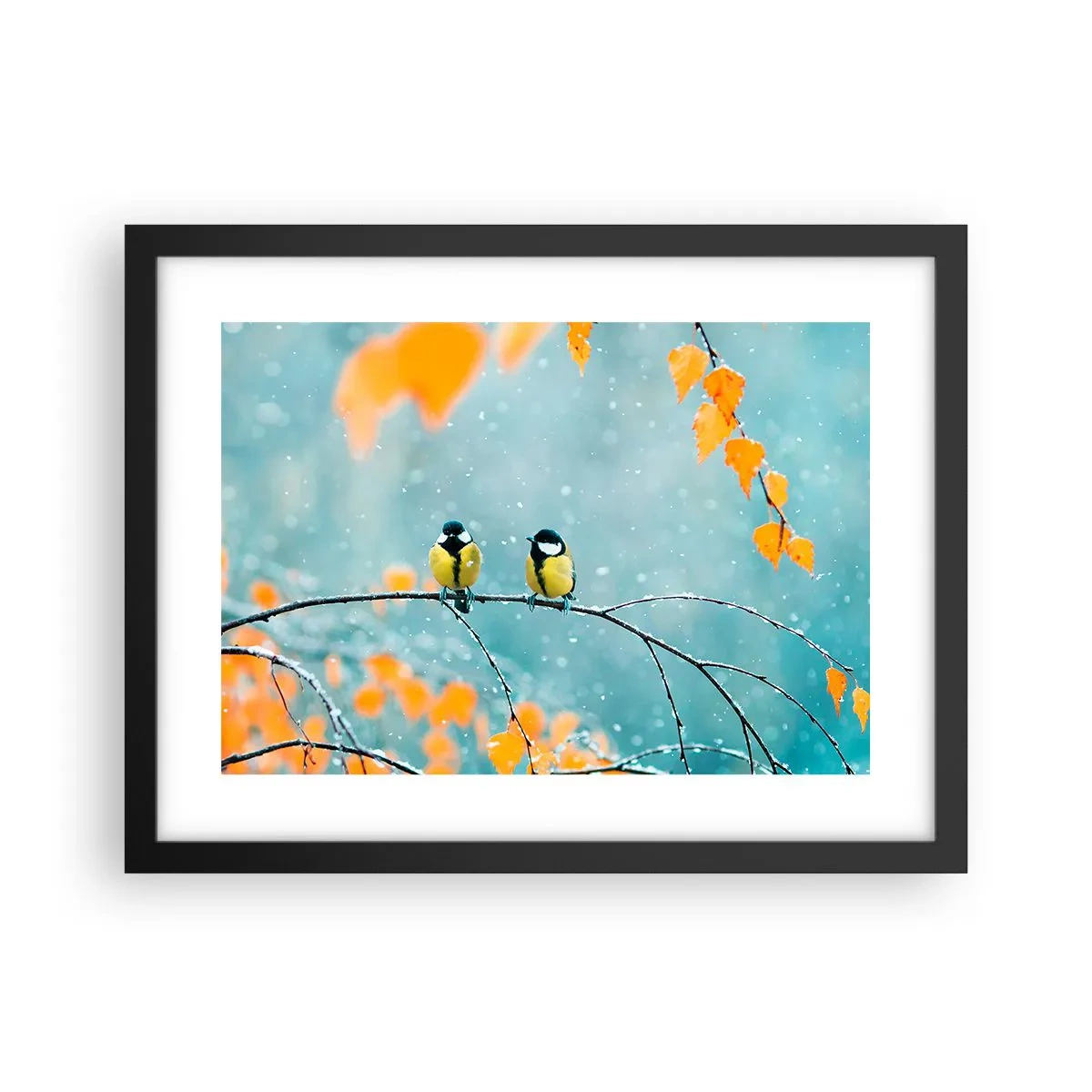 Poster in einem schwarzem Rahmen - Vogelklatsch - 40x30 cm