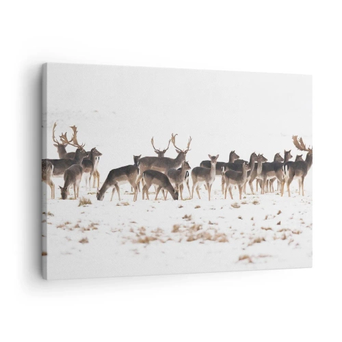Bild auf Leinwand - Leinwandbild - Eine Herde Hirsche vor einem verschneiten Hintergrund - 70x50cm - Kommen die Weihnachten? - Moderne Wanddekoration für Wohnzimmer und Schlafzimmer ARTTOR