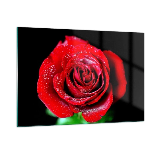 Glasbild - Bild auf glas - Eine rote Rose mit Tautropfen bedeckt auf dunklem Hintergrund - 120x80cm - Das ist Liebe - Moderne Wanddekoration für Wohnzimmer und Schlafzimmer ARTTOR