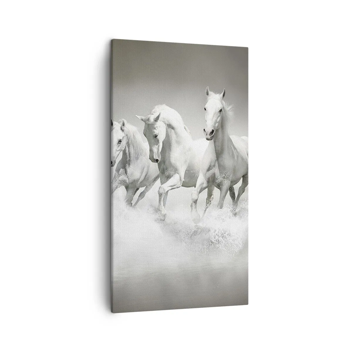 Bild auf Leinwand - Leinwandbild - Weißer Wahnsinn - 45x80 cm