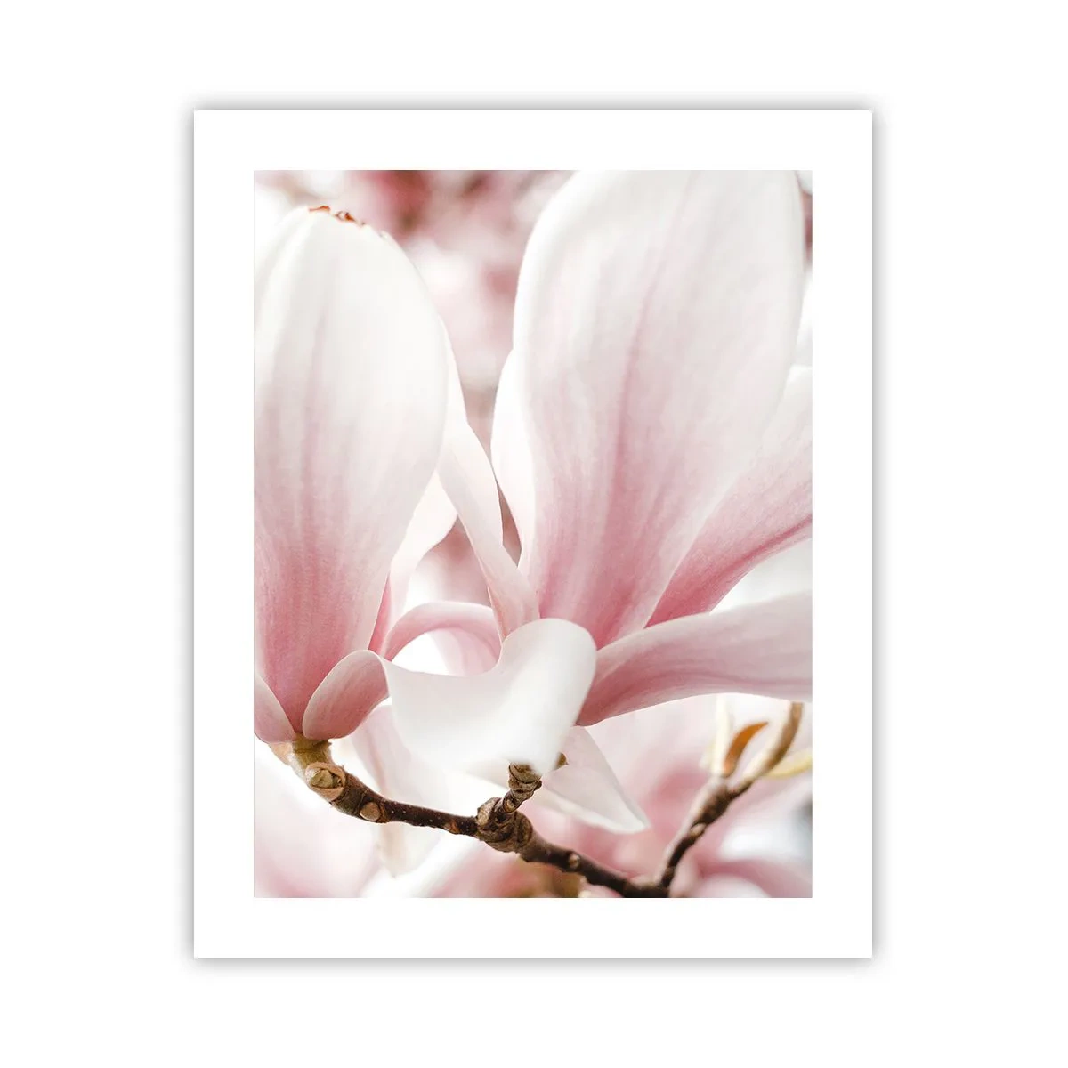 Poster - Eine Fülle von Zärtlichkeit - 40x50 cm