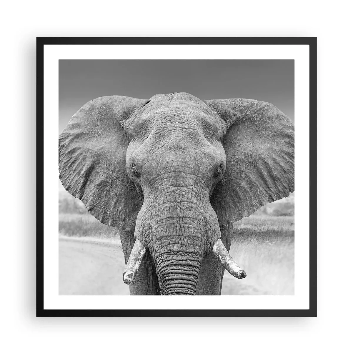 Poster in einem schwarzem Rahmen - Willkommen in meiner Welt - 60x60 cm