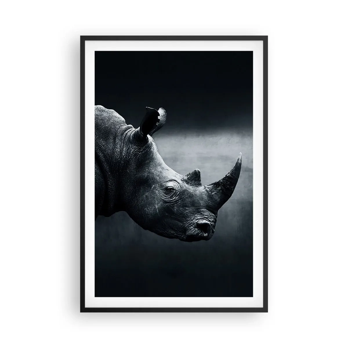 Poster in einem schwarzem Rahmen - Richtiges Profil - 61x91 cm