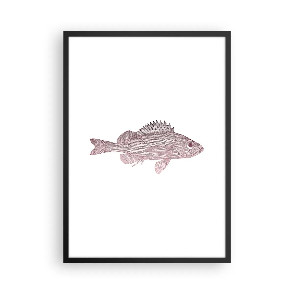 Poster in einem schwarzem Rahmen - Fischgrafik auf weißem Hintergrund im minimalistischen Stil - 50x70cm - Großäugiger Fisch - Moderne Wanddekoration für Wohnzimmer und Schlafzimmer ARTTOR