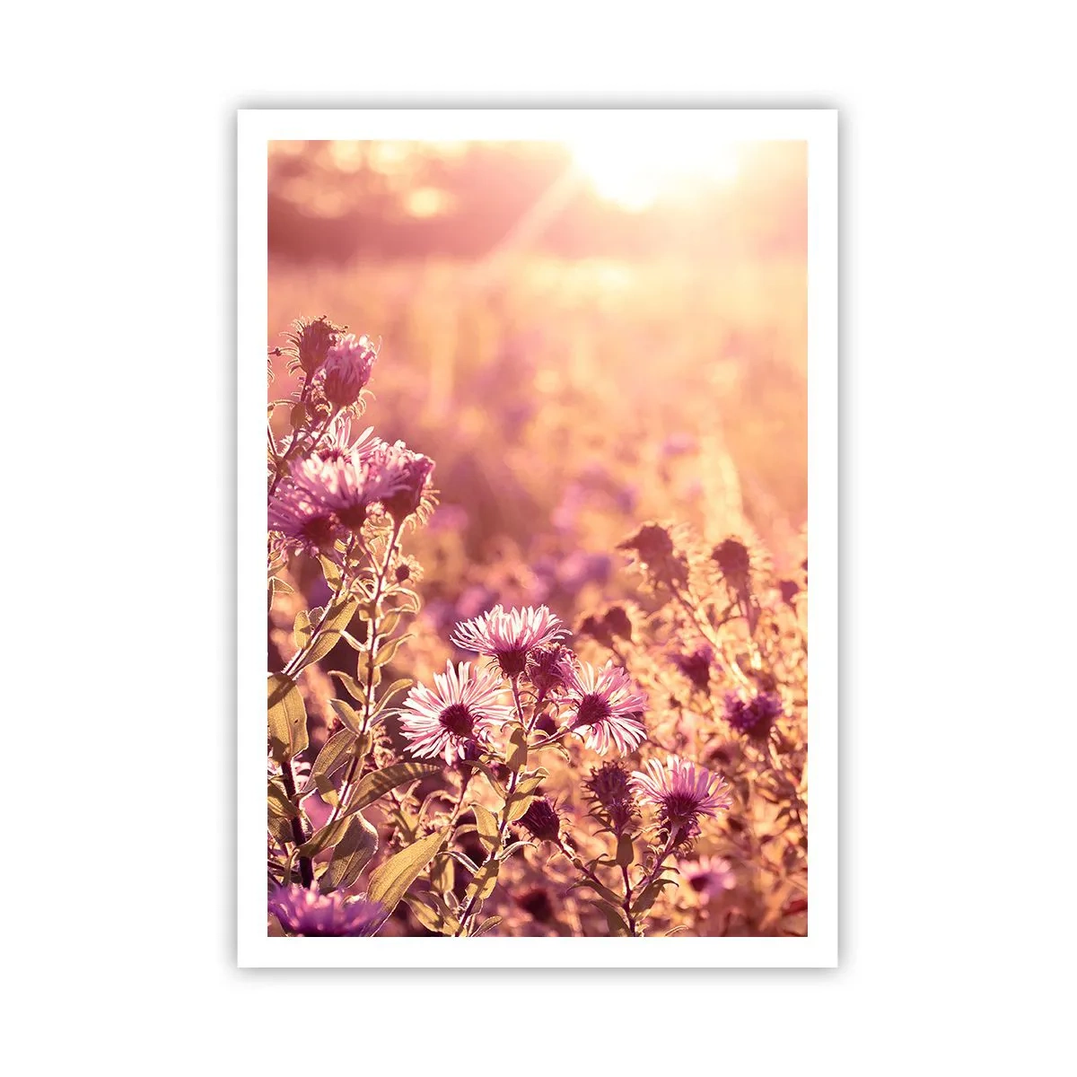 Poster - Bevor der Sommer vorbei ist - 70x100 cm