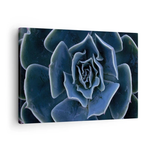 Bild auf Leinwand - Leinwandbild - Nahaufnahme einer grünen Sukkulentenrosette - 70x50cm - Wüstenblume - Moderne Wanddekoration für Wohnzimmer und Schlafzimmer ARTTOR