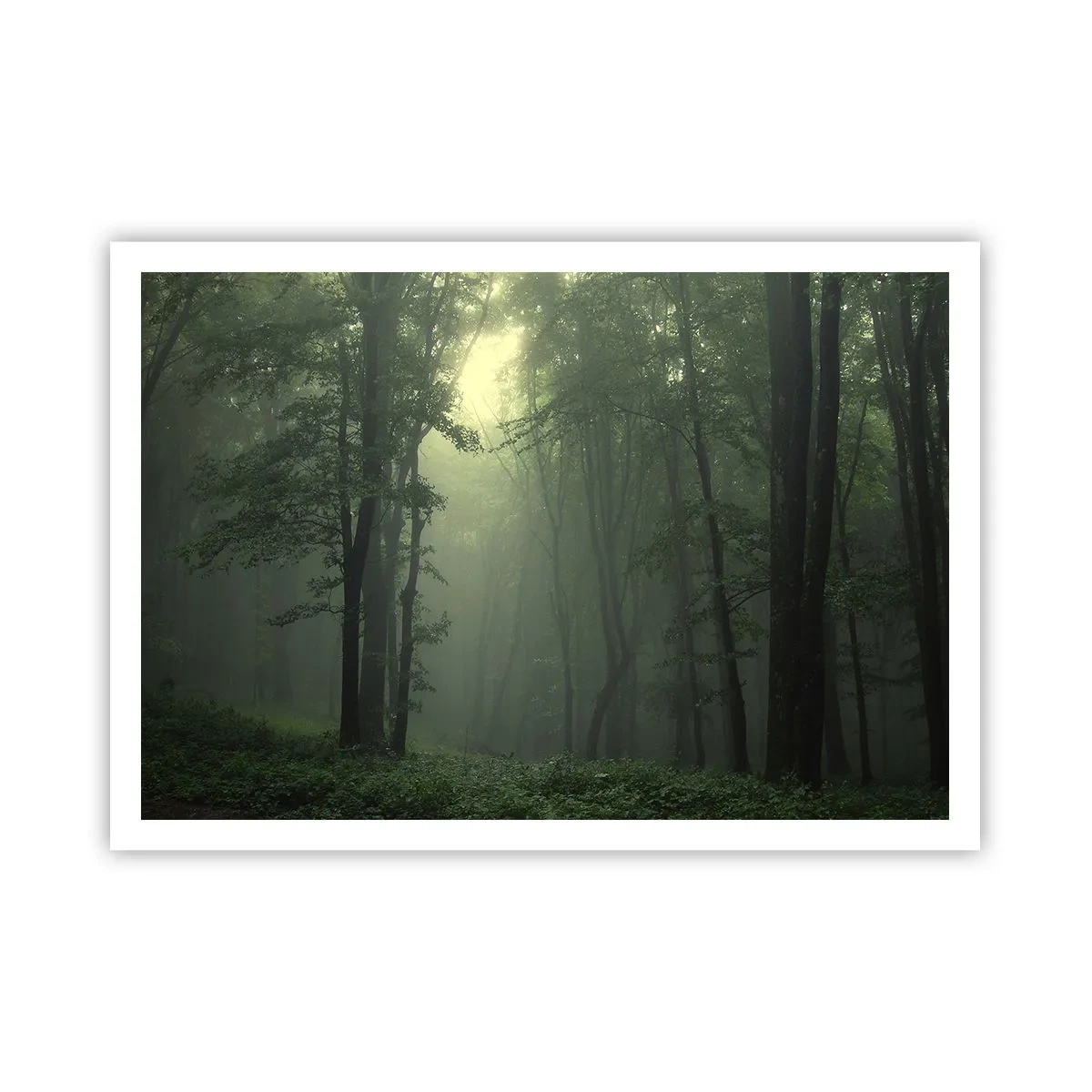 Poster - Ein grüner Wald am Morgen, eingehüllt in einen zarten Nebel - 100x70cm - Bevor er aufwacht - Moderne Wanddekoration für Wohnzimmer und Schlafzimmer ARTTOR