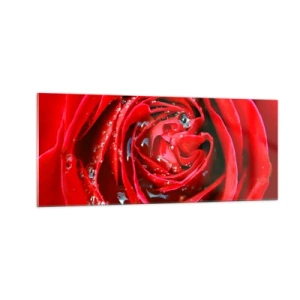 Glasbild - Bild auf glas - In den Tautropfen - 100x40 cm
