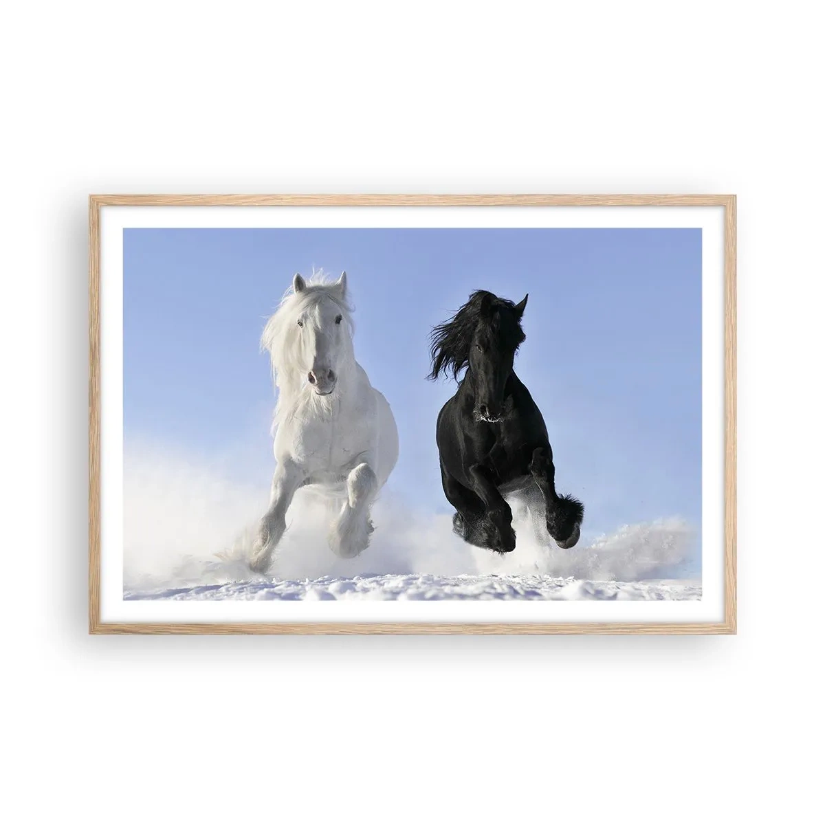 Poster in einem Rahmen aus heller Eiche - Schwarz-Weiß-Galopp - 91x61 cm