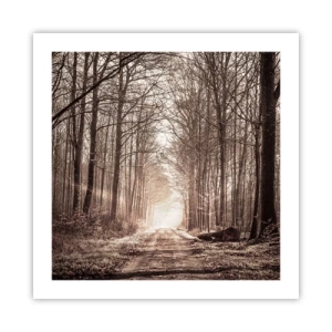 Poster - Waldkathedrale - 50x50 cm
