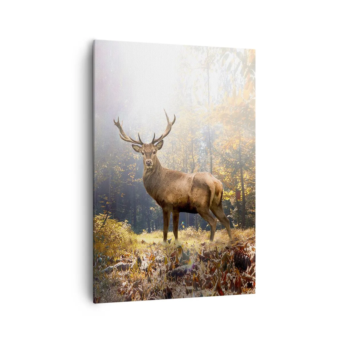 Bild auf Leinwand - Leinwandbild - Hirsch im herbstlichen Wald mit Sonnenstrahlen - 70x100cm - In voller Majestät - Moderne Wanddekoration für Wohnzimmer und Schlafzimmer ARTTOR