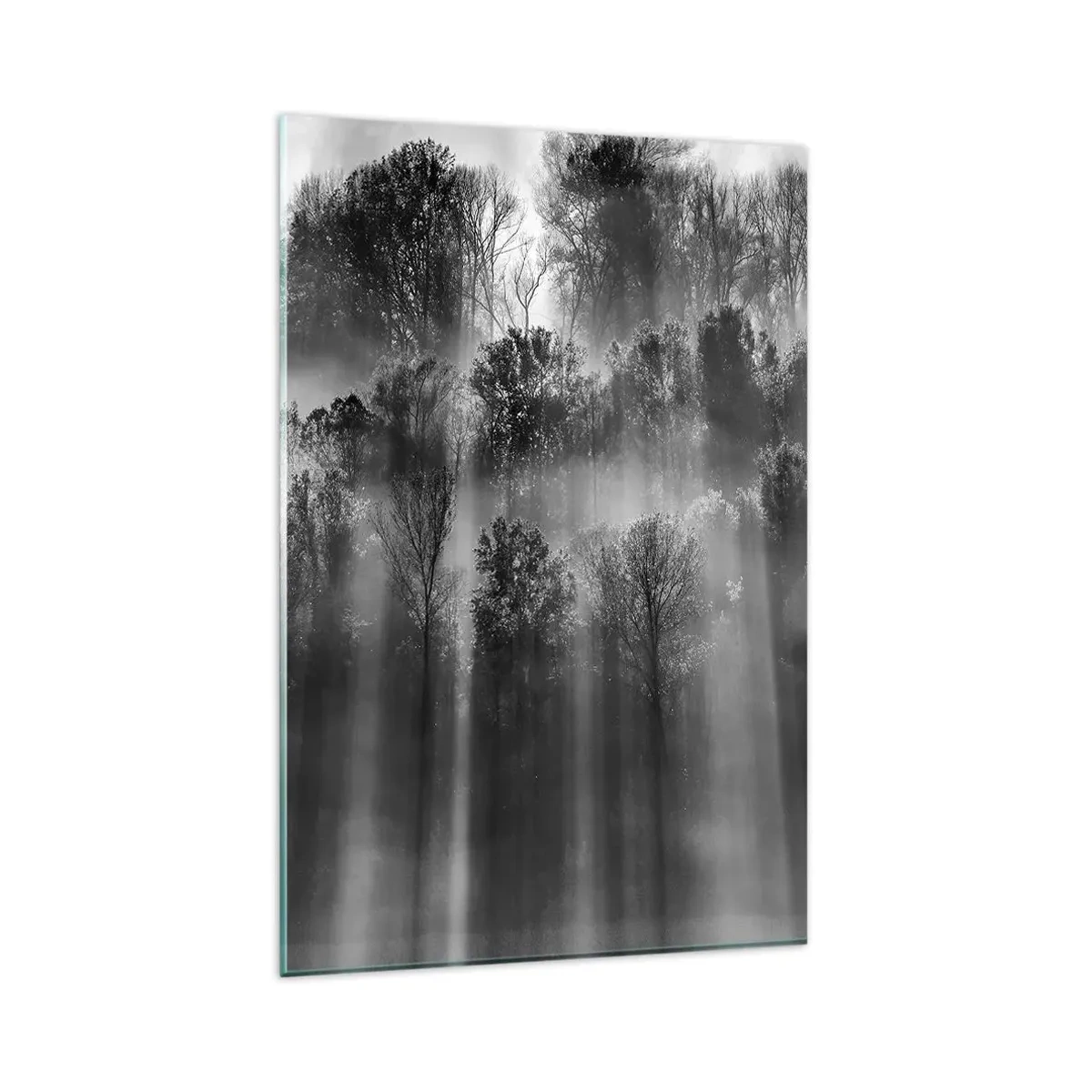 Glasbild - Bild auf glas - Schwarz-weißer Wald im Morgenlicht - 80x120cm - In Lichtstrahlen - Moderne Wanddekoration für Wohnzimmer und Schlafzimmer ARTTOR