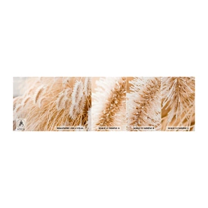 Fototapeten Muster Selbstklebend Deluxe Sticker - Das goldene Rauschen des Grases - Pampasgras, Wiese, Natur - 100x30 cm