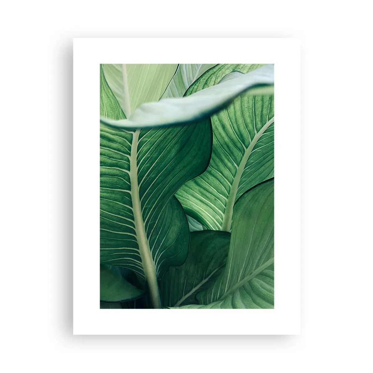 Poster - Intensiv grünes Leben - 30x40 cm