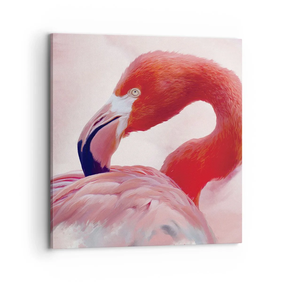 Bild auf Leinwand - Leinwandbild - Vogel Schönheit - 70x70 cm