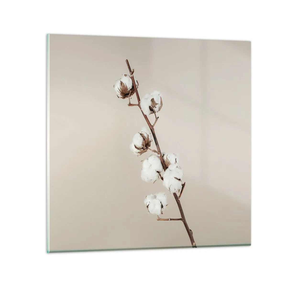 Glasbild - Bild auf glas - An der Quelle der Weichheit - 60x60 cm