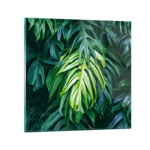 Glasbild - Bild auf glas - Tauchen Sie ein in die Frische - 60x60 cm