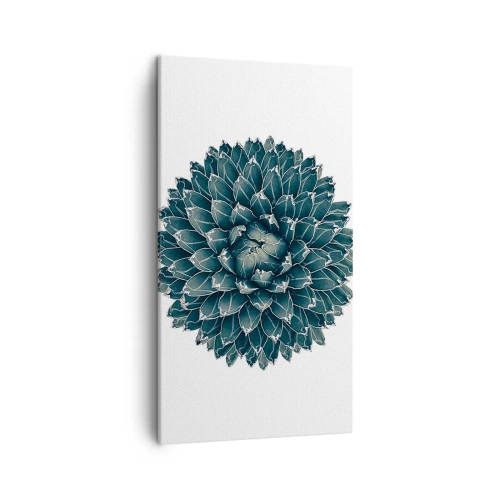 Bild auf Leinwand - Leinwandbild - Stern der Wüste - 45x80 cm