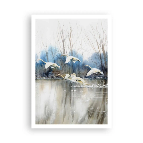 Poster - Wie im Märchen von den wilden Schwänen - 70x100 cm