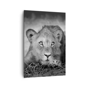 Bild auf Leinwand - Leinwandbild - Monochromes Porträt eines liegenden jungen Löwen - 70x100cm - Königlicher Welpe - Moderne Wanddekoration für Wohnzimmer und Schlafzimmer ARTTOR