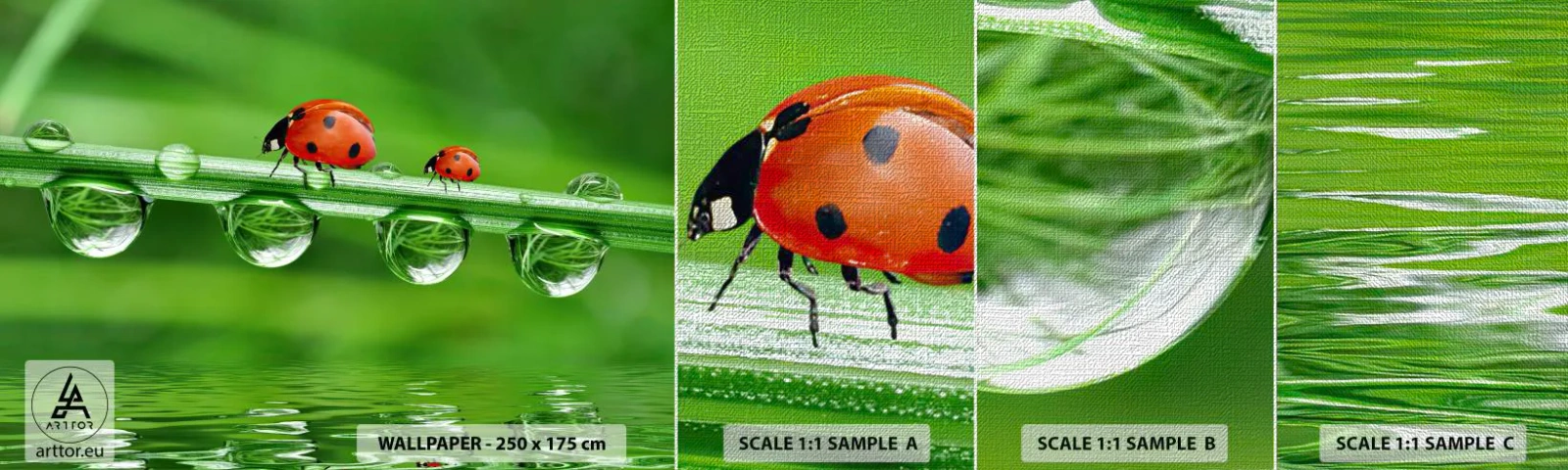 Fototapeten Muster Premium Canvas - Den ganzen Sommer unterwegs - Marienkäfer, Ein Wassertropfen, Natur - 100x30 cm