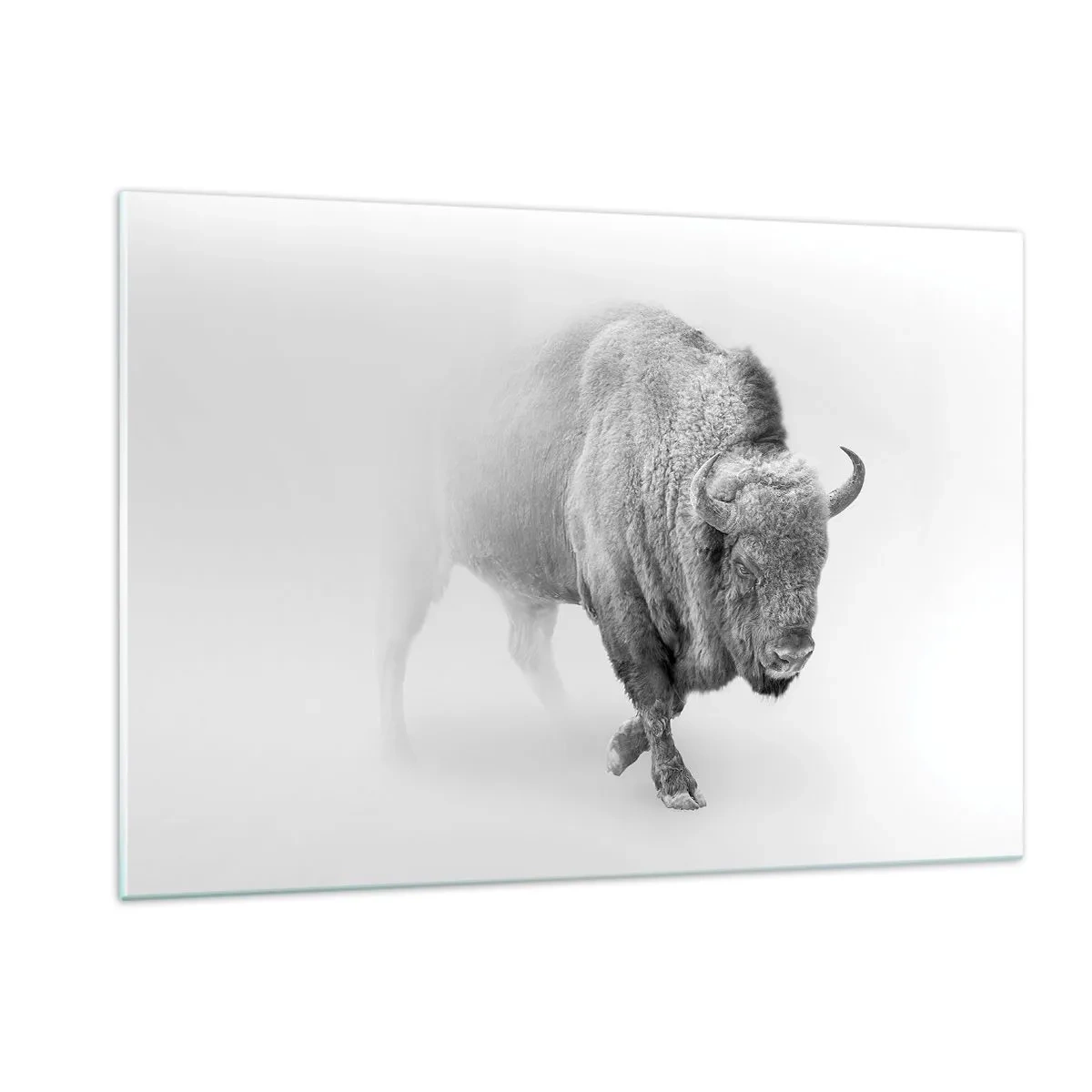 Glasbild - Bild auf glas - Schwarz-Weiß-Illustration eines majestätischen Bisons - 120x80cm - König der Prärie - Moderne Wanddekoration für Wohnzimmer und Schlafzimmer ARTTOR