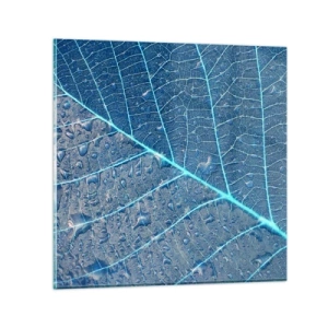 Glasbild - Bild auf glas - Leben in Blau - 30x30 cm