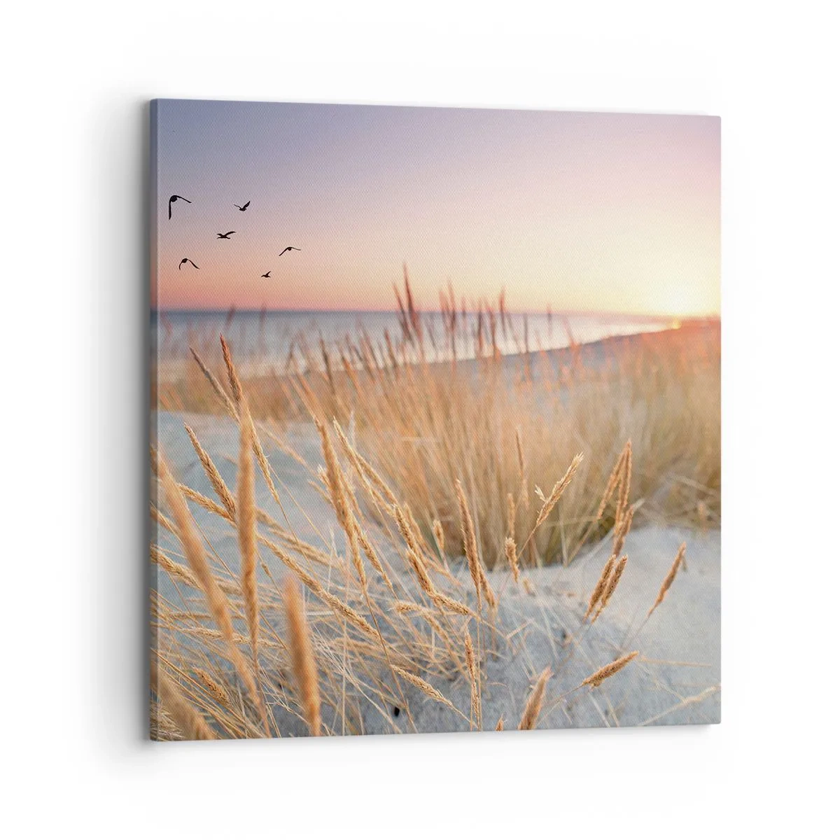 Bild auf Leinwand - Leinwandbild - Das baltische Wiegenlied - 70x70 cm